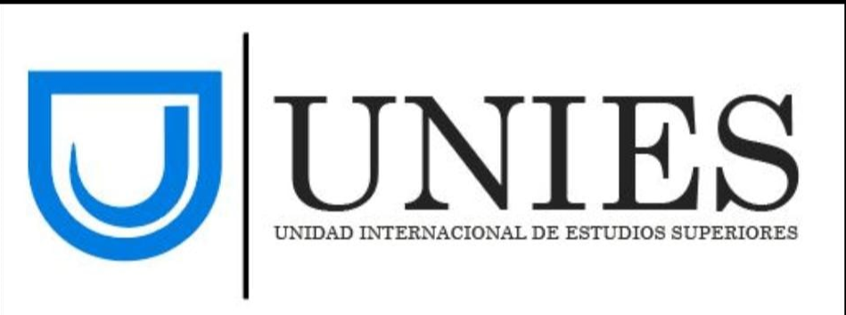 UNIES Logo
